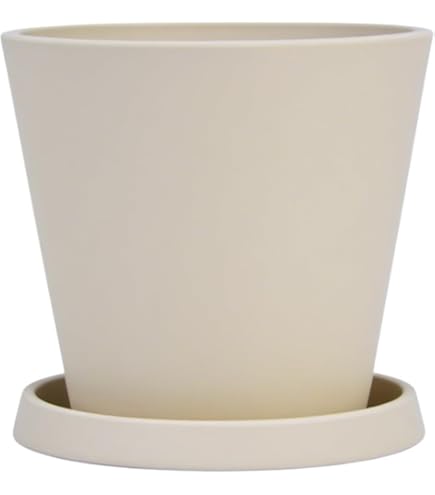 Amazon.co.jp: 大貫弘由岐 作家鉢 植木鉢 陶器鉢 コーデックス
